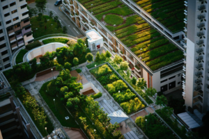 Green Roofs: Benefits and Challenges in Modern Construction in 2024